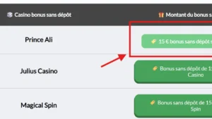 choisir un casino dans notre top casino bonus sans d&eacute;p&ocirc;t