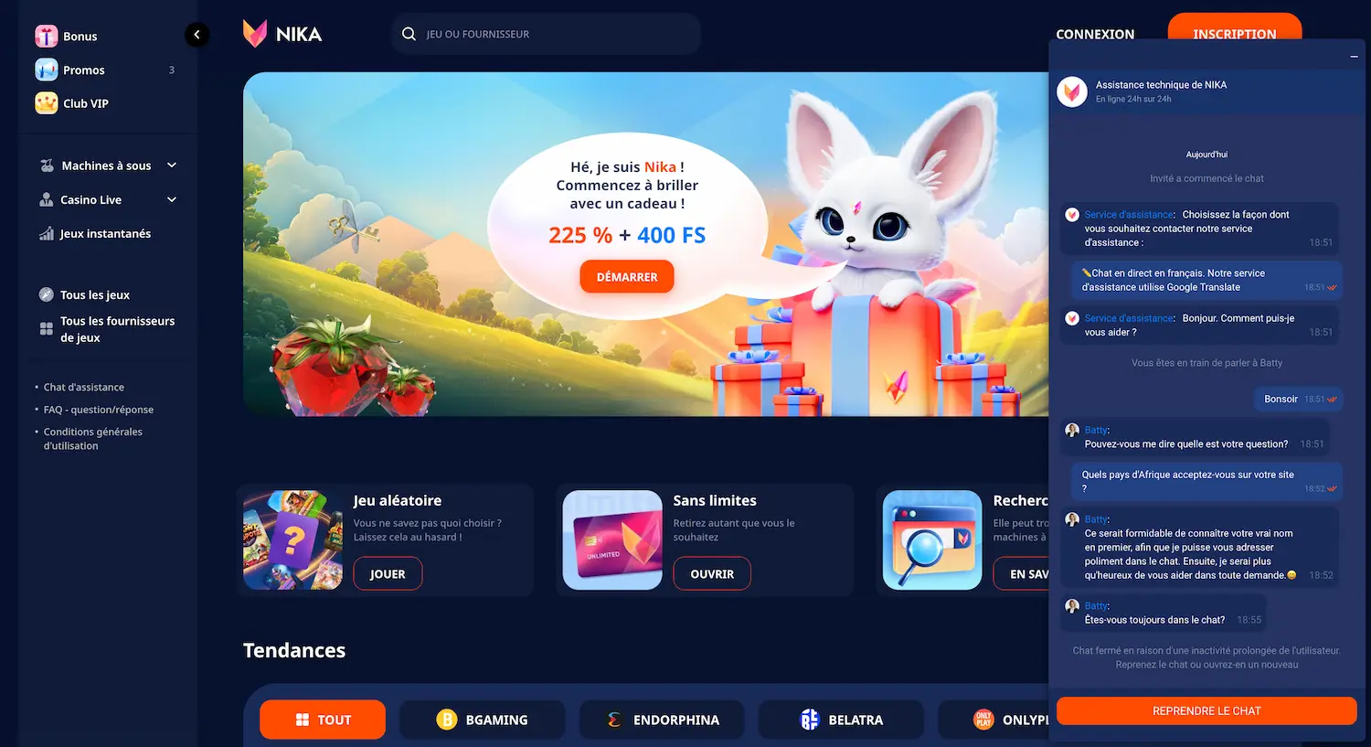 Screenshot of Nika Casino customer support live chat interface