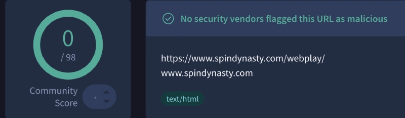 capture decran analyse securite spin dynasty