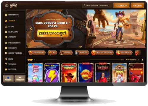 capture decran interface ordinateur lizaro