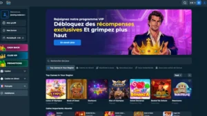 capture decran page accueil rollyspin