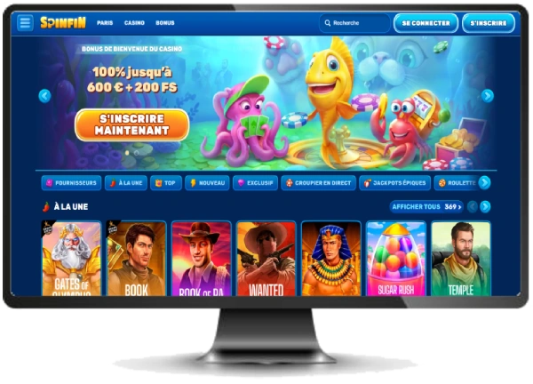 capture decran interface sur ordinateur de spinfin