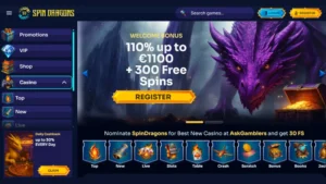 capture decran inscription etape 1 spindragons