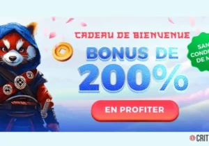 Bonus de bienvenue Spin Dynasty : 200 % jusqu&rsquo;&agrave; 500 &euro;