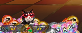 disco cat